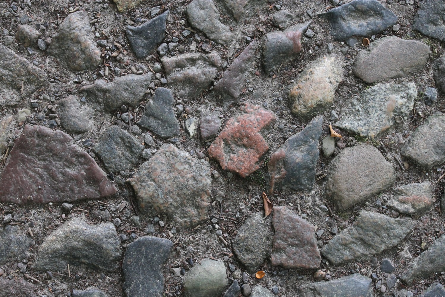 Herepath Rocks The Road to Heorot